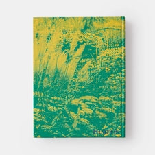 Wild: The Naturalistic Garden - The Missing Piece Company