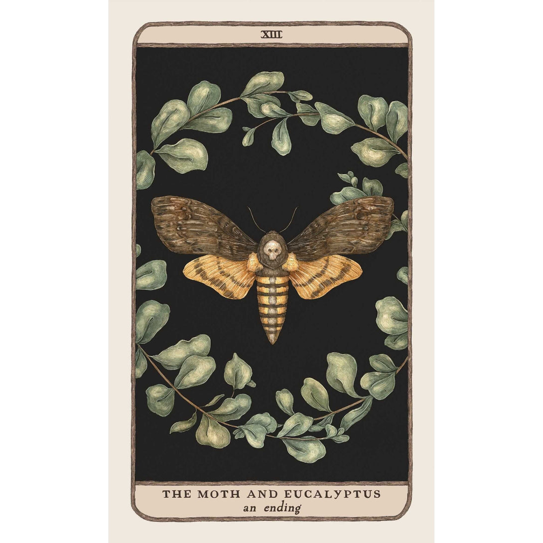 Woodland Wardens: A 52-Card Oracle Deck & Guidebook - The Missing Piece Company