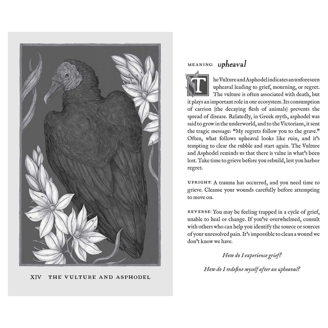 Woodland Wardens: A 52-Card Oracle Deck & Guidebook - The Missing Piece Company