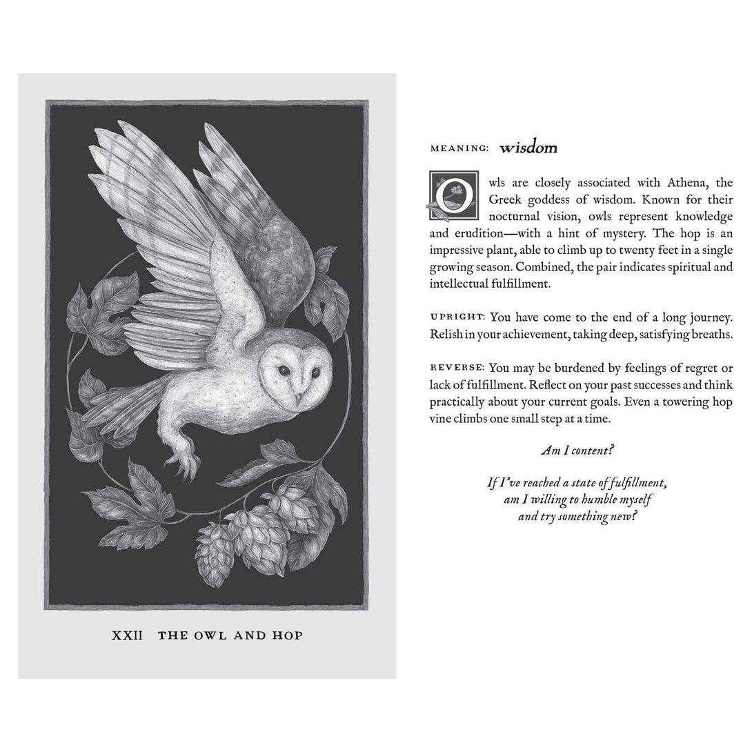 Woodland Wardens: A 52-Card Oracle Deck & Guidebook - The Missing Piece Company